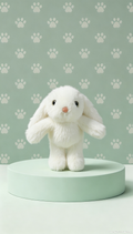 Mini Lop